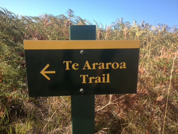 Te araroa Trail